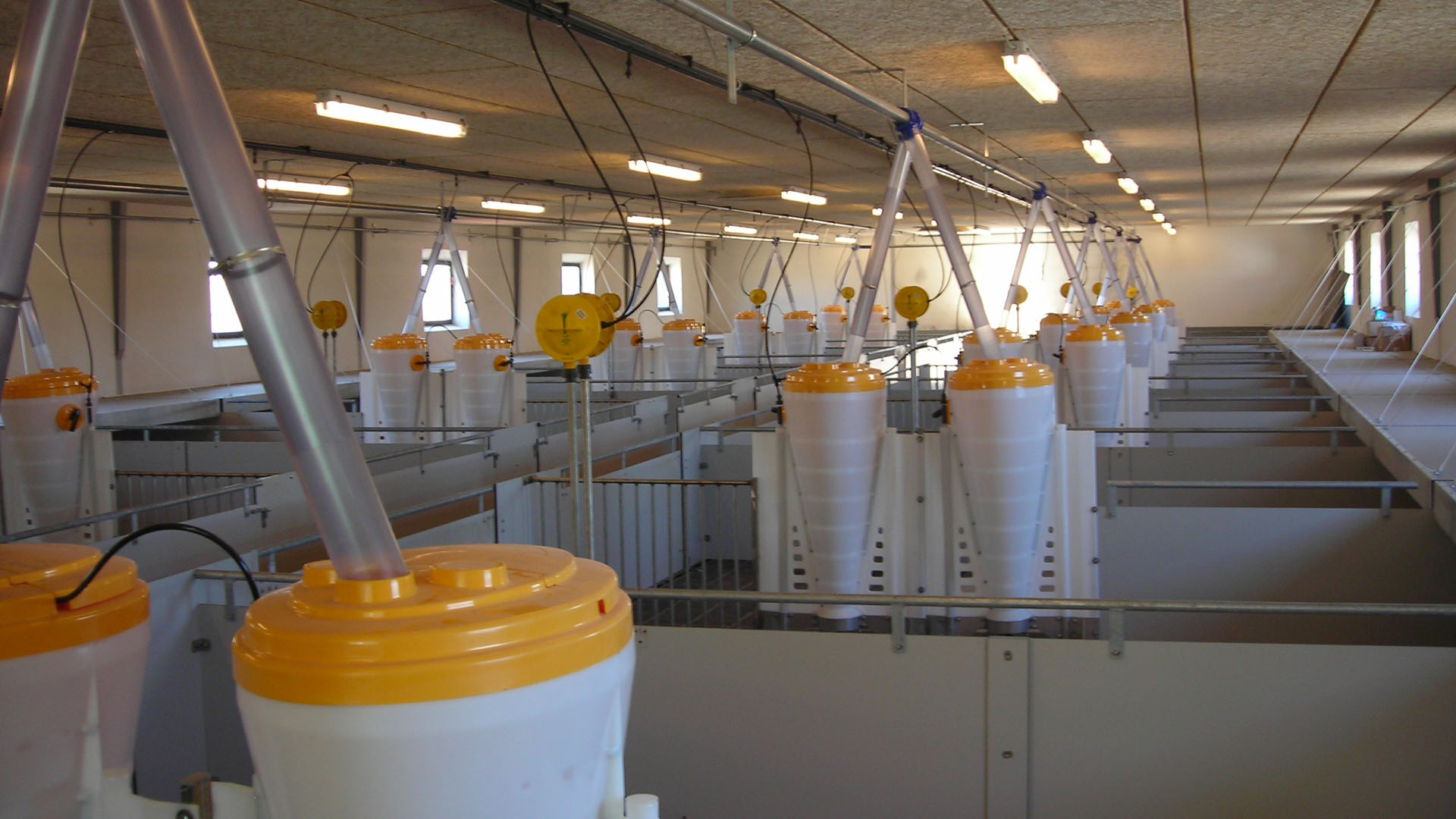 SKIOLD Maximat automatic feeder for weaners and finishers