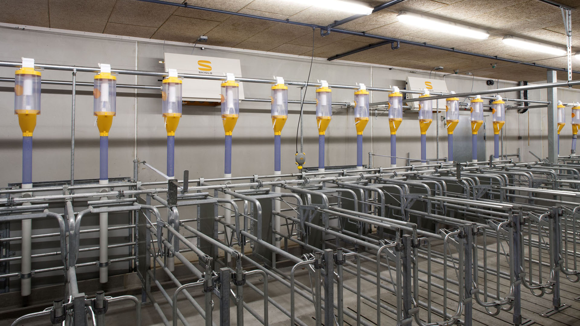 SKIOLD Dry Feeding System TransPork