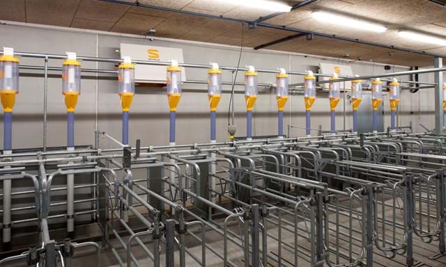SKIOLD Dry Feeding System TransPork