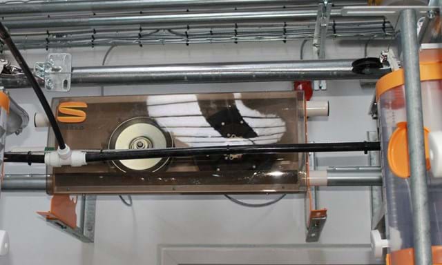 SKIOLD Dry Feeding System MiniPork