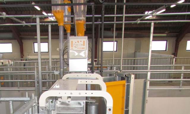 Electronic sow feeding control | SKIOLD