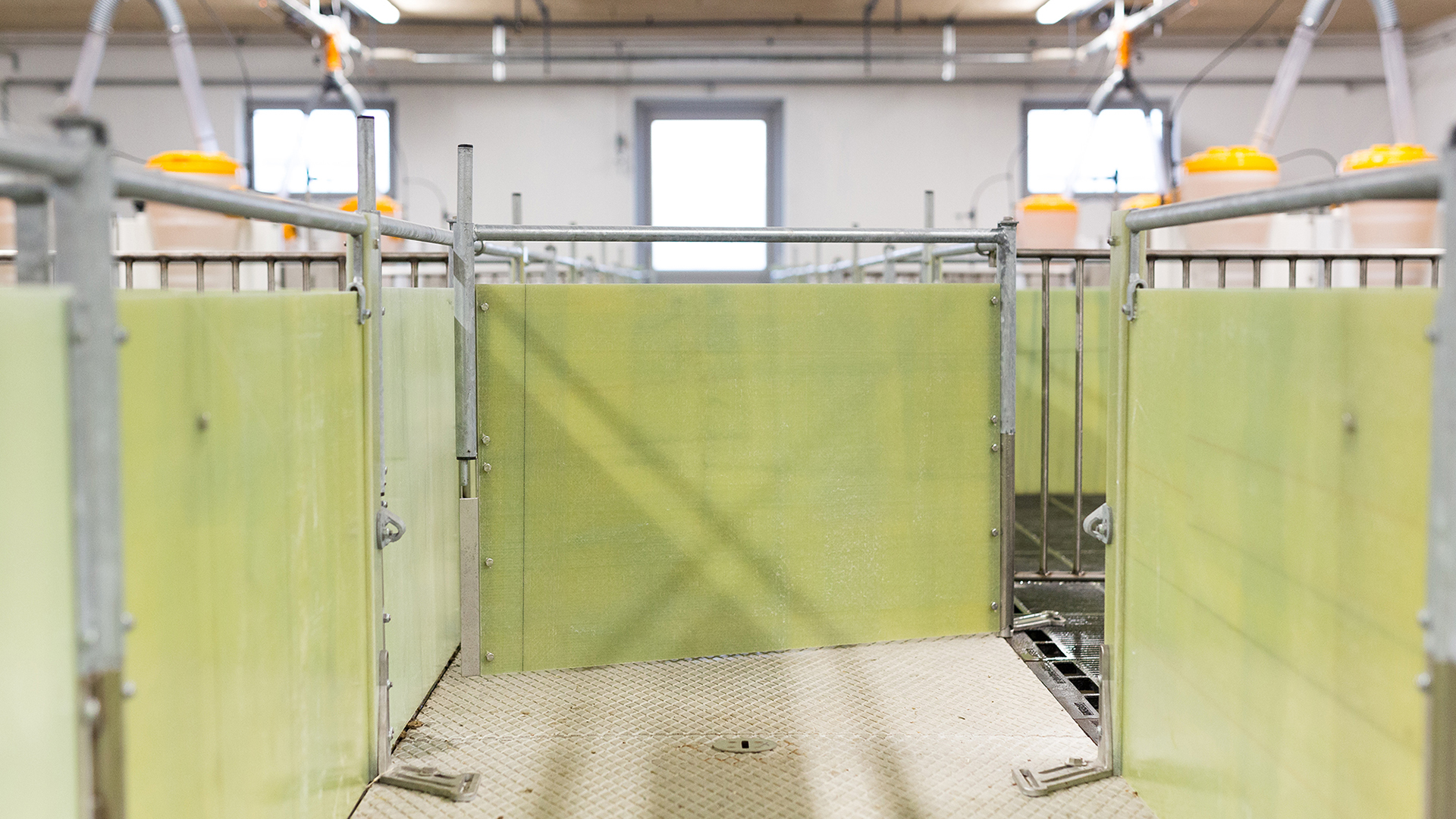 SKIOLD Penning for weaners