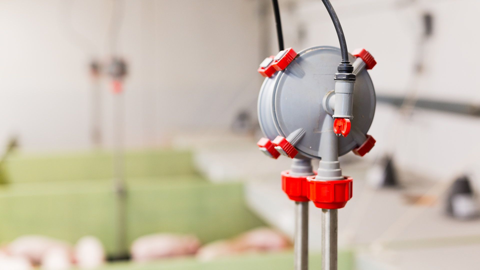 Aqua Level waterer for pigs | SKIOLD