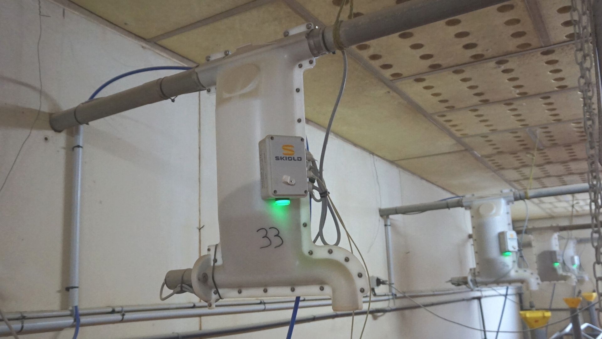 SKIOLD smartfeeder for feeding of sows